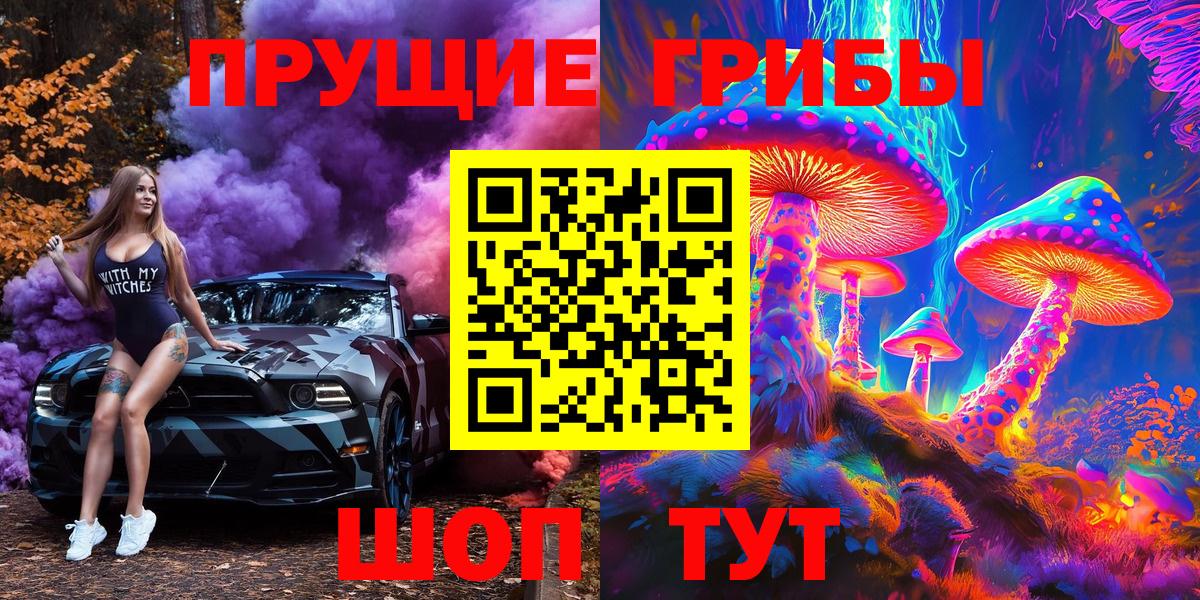 Псилоцибиновые грибы Psilocybine cubensis Камень-на-Оби