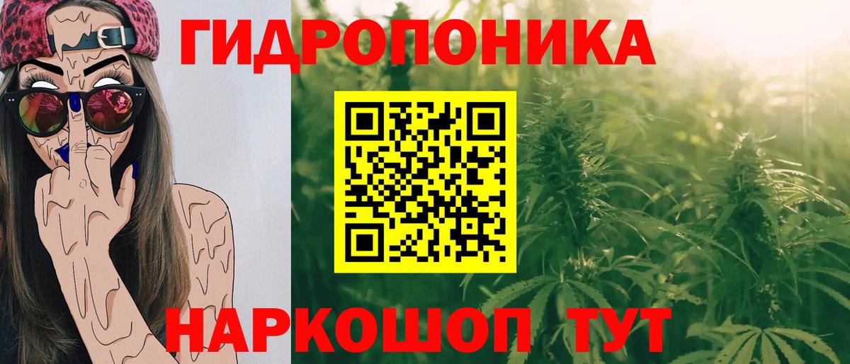 Камень-на-Оби  Конопля план  МАРИХУАНА марихуана  Канабис Ganja  Вход с VPN  Бошки Шишки OG Kush 